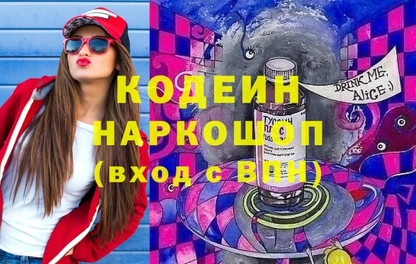 гашик Дмитровск