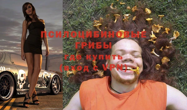 мдпв Иннополис