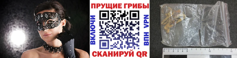 Галлюциногенные грибы Magic Shrooms  блэк спрут ТОР  Ворсма 